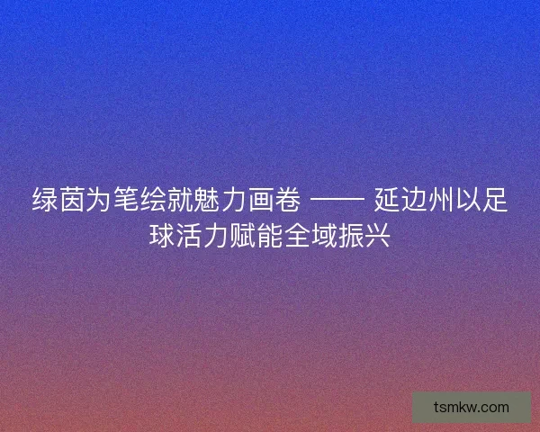 绿茵为笔绘就魅力画卷 —— 延边州以足球活力赋能全域振兴