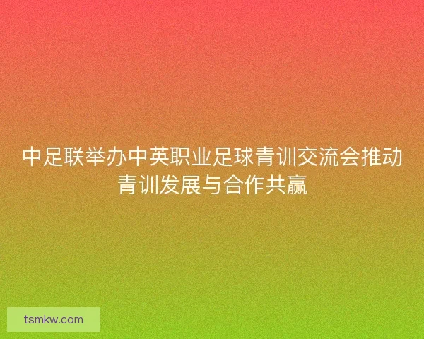 中足联举办中英职业足球青训交流会推动青训发展与合作共赢