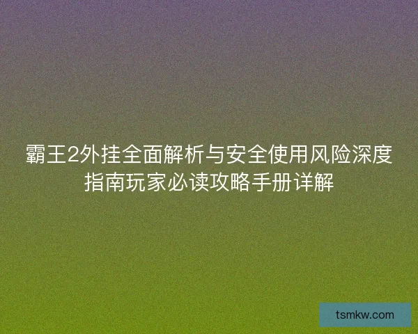 霸王2外挂全面解析与安全使用风险深度指南玩家必读攻略手册详解 霸王2外挂全面解析与安全使用风险深度指南玩家必读攻略手册详解